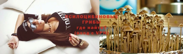 таблы Армянск