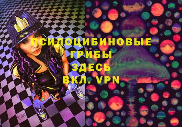 ПСИЛОЦИБИНОВЫЕ ГРИБЫ Алексин