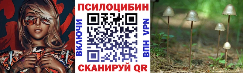 Галлюциногенные грибы Psilocybine cubensis  Аша 