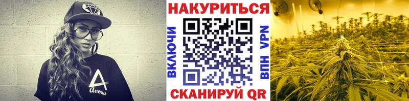 хочу KRAKEN сайт дарк нет официальный сайт Аша Бошки марихуана тримм